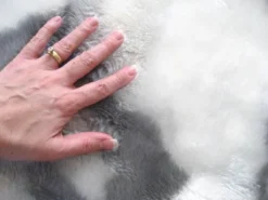 Walk On Me Faux Fur Super Soft Kids Sheep Rug Tufted With Non-slip Backing Area Rug 11 Walk On Me Faux Fur Super Soft Kids Sheep Rug Tufted With Non-slip Backing Area Rug -Roommates Store GUEST 07e300e9 4ef0 4d8d ba70 4b5e95babb90